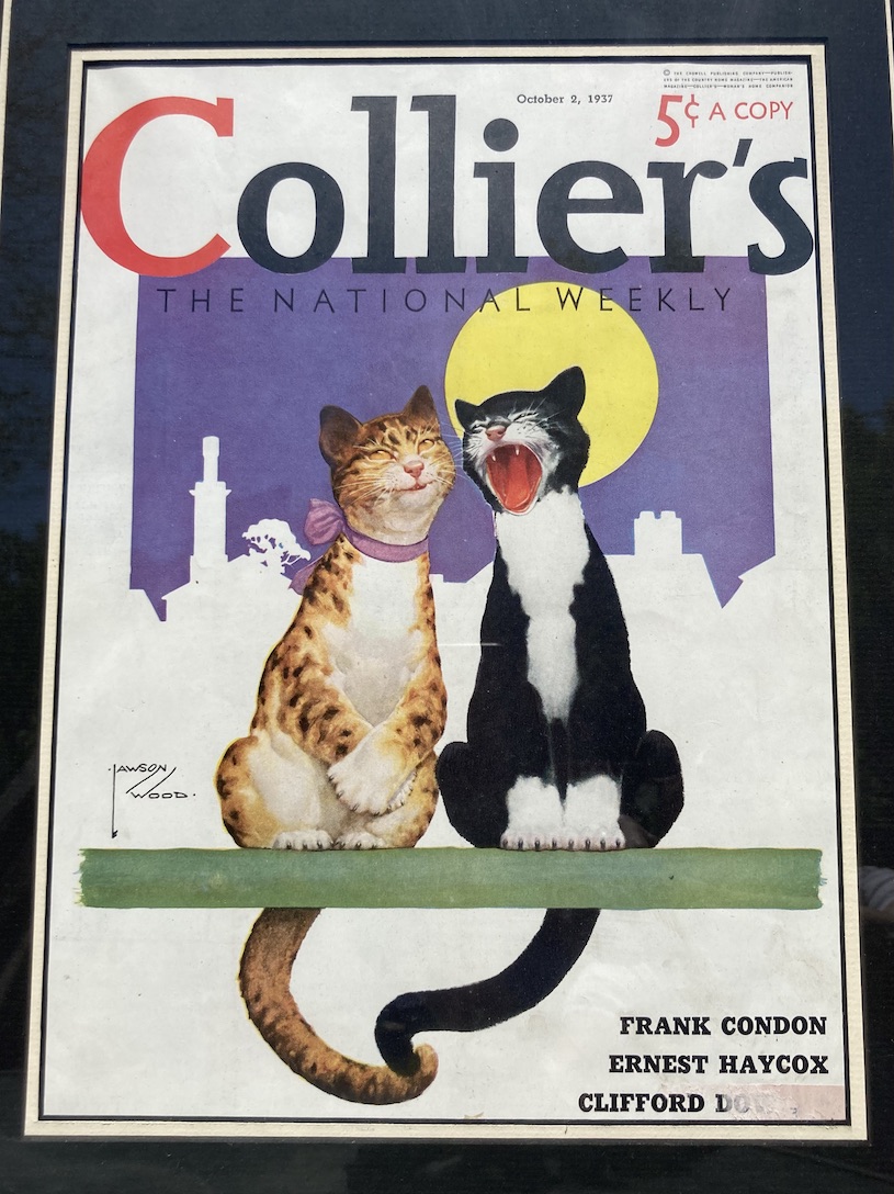 Collier's
              cats